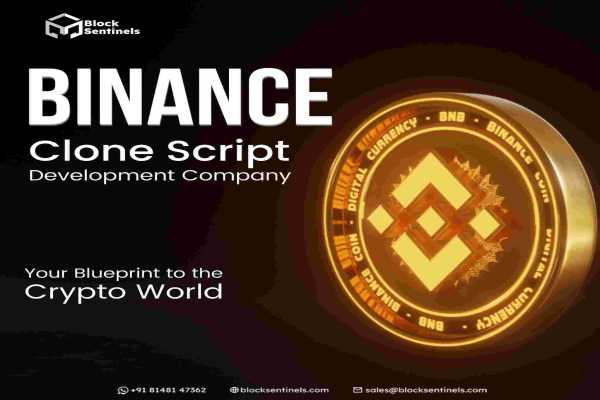 blocksentinals binance clone script